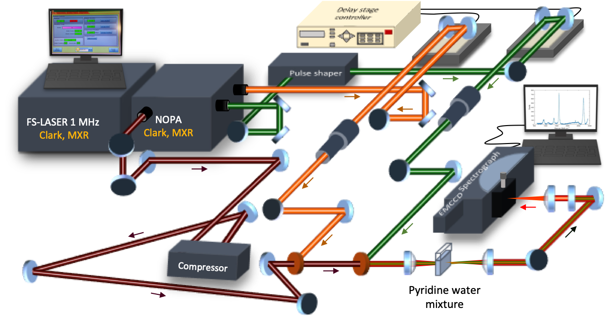 Abiotic Stress Responses